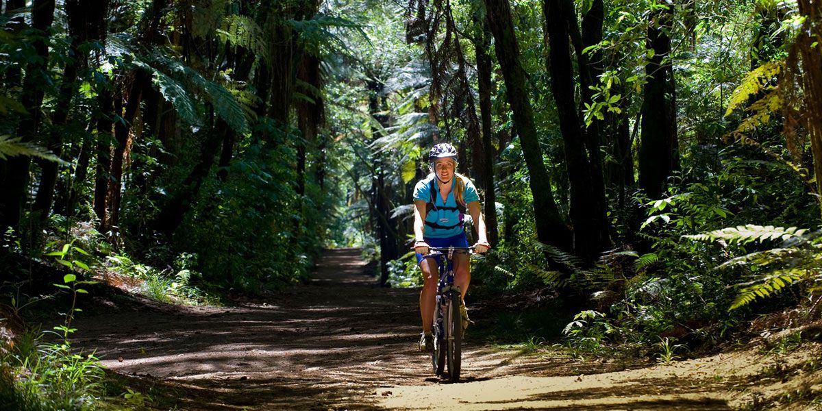 Bike West Coast Wilderness Trail