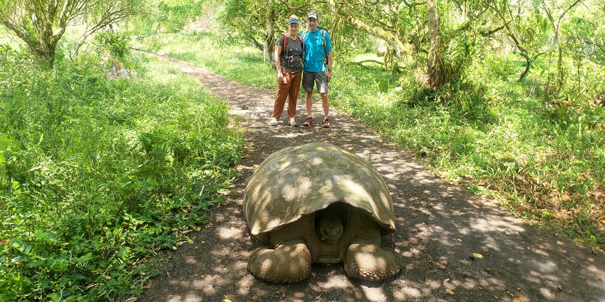 Hike Santa Cruz highlands and Tortuga Bay, visit giant tortoises