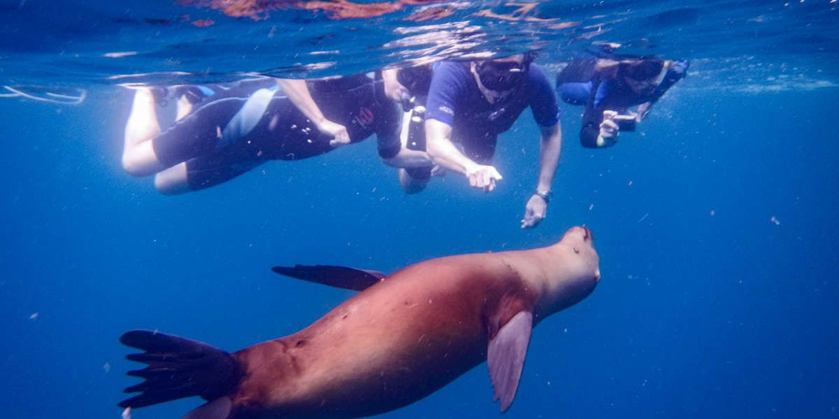 Snorkel or dive at Kicker Rock, visit Interpretation Centre